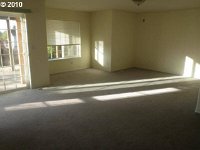 Bonus room lower level